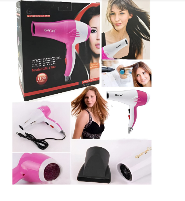 Gemei Fessional Hair Dryer Gm-1711